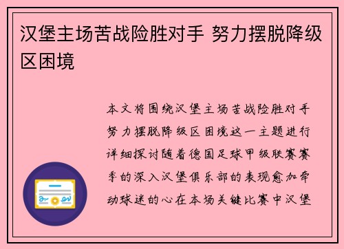 汉堡主场苦战险胜对手 努力摆脱降级区困境